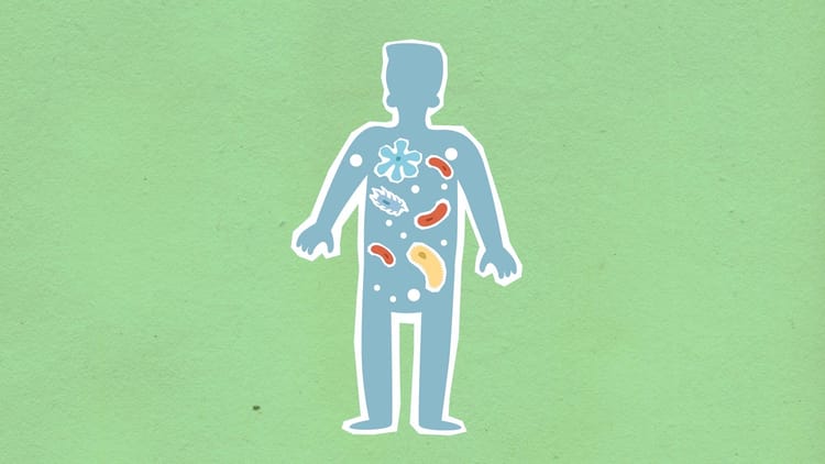 Supported Adrenals with Rebounding: Boost Energy & Burn Fat